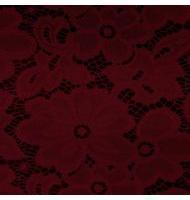 Hailey Lace-580-400 Burgundy