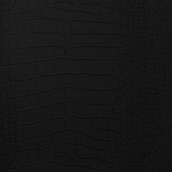 Vinyl Crocodile Black