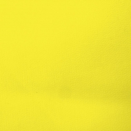 Vinyl Regular Yellow