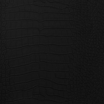 Vinyl Crocodile Black